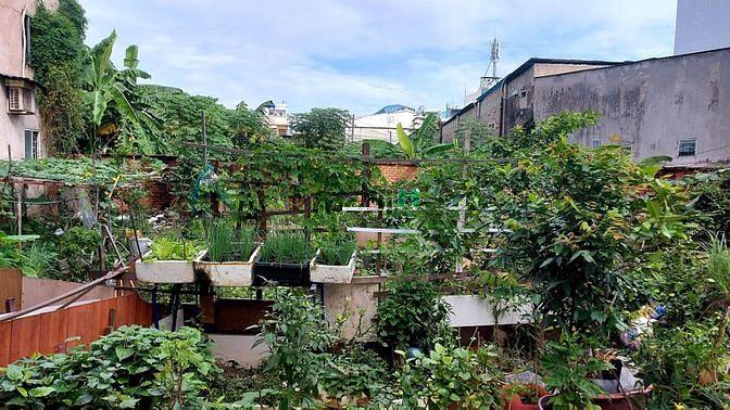Hình ảnh Đất siêu rẻ, hxh sát tân phú 15 x 15 m, 100% thổ cư, giá chỉ 8,59 tỷ.