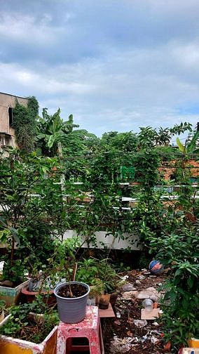 Hình ảnh Đất siêu rẻ, hxh sát tân phú 15 x 15 m, 100% thổ cư, giá chỉ 8,59 tỷ.