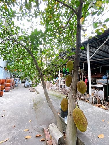 Hình ảnh Bán biệt thự 1900m2 thổ cư, MT Trương Phước Phan chỉ 158 tỷ TL