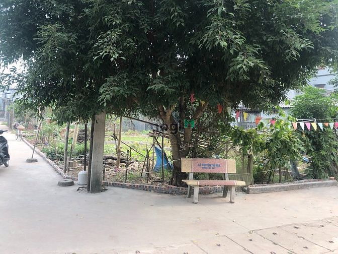 Hình ảnh Bán nhanh 160m đất thổ cư Tổ 16 Thạch Bàn Long Biên