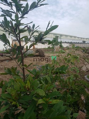 Hình ảnh Đất nền đường 16m ven tphcm full thổ cư 100% sổ hồng giá f0