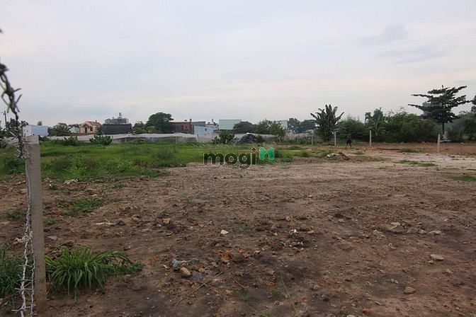 Hình ảnh Bán đất Xã Bình Mỹ, Huyện Củ Chi 20m x 50m, DT: 1000m2 giá: 6.5 tỷ