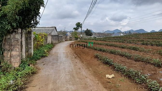 Hình ảnh Bán đất tiểu khu 68, TTNT Mộc Châu DT 343m2 120m2 thổ cư