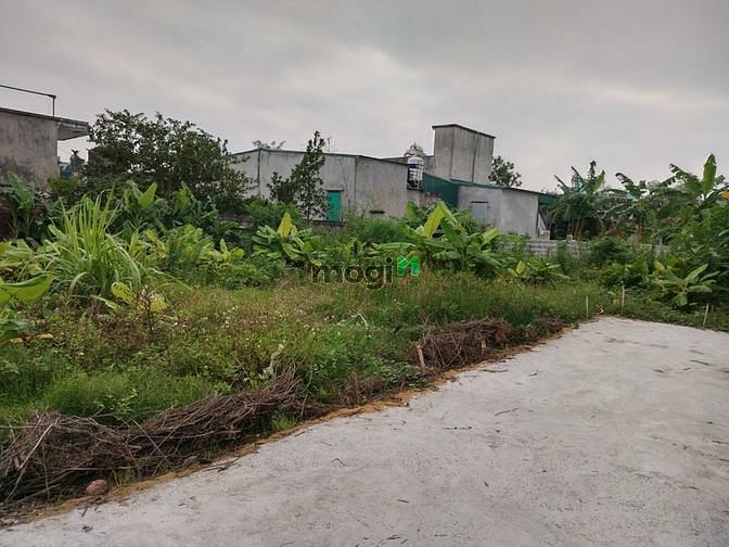 Hình ảnh Bán đất giá rẻ ở Tân Bình, thành phố Thái Bình