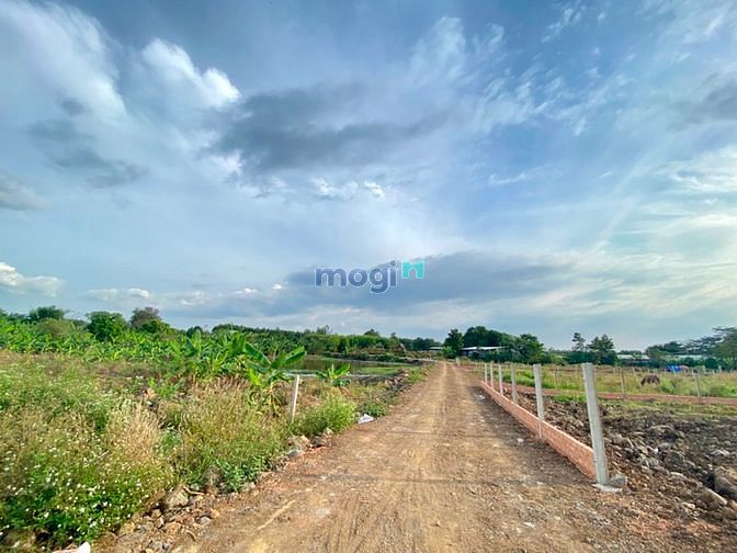 Hình ảnh Bán Sào Đất Vườn Thổ Cư Gần Ngã 3 Trị An Sổ Hồng Sẵn Giá Mb6623 phiên bản mới nhất