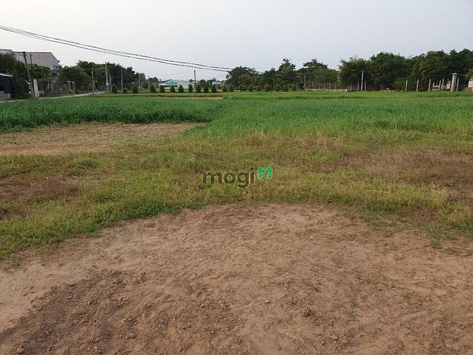 Hình ảnh Bán đất Tân Phú Trung, Huyện Củ Chi 40m x 60m, DT: 2200m2 giá: 16 tỷ