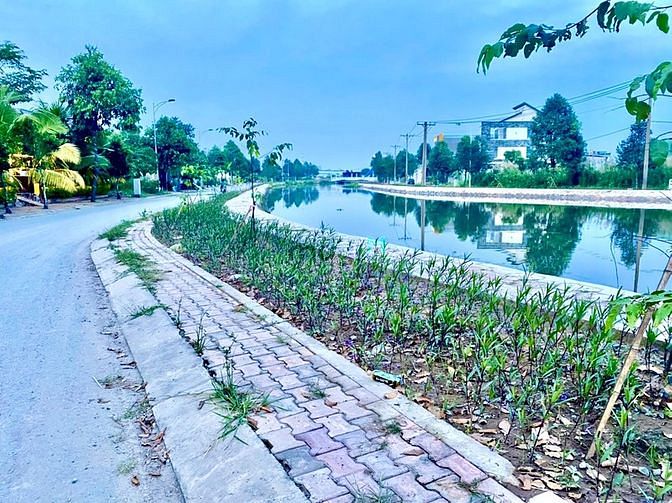 Hình ảnh Giáp SG, đất Vĩnh Phú ven sông mát mẻ 130m2(5x26).Khu dân cư.SHR