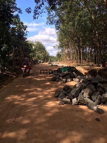 Hình ảnh Bán đất nền liên tỉnh giá rẻ tỉnh bình phước