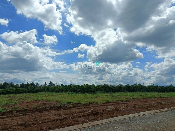 Hình ảnh Bná đất Lâm ĐÔnghgf có thổ cư 175m2 giá rẻ