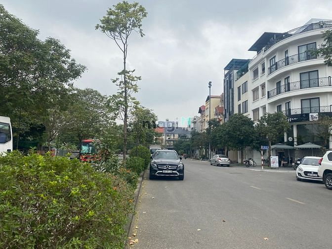 Hình ảnh Bán 100m căn góc đất đấu giá Tầm Dâu, Việt Hưng, view vườn