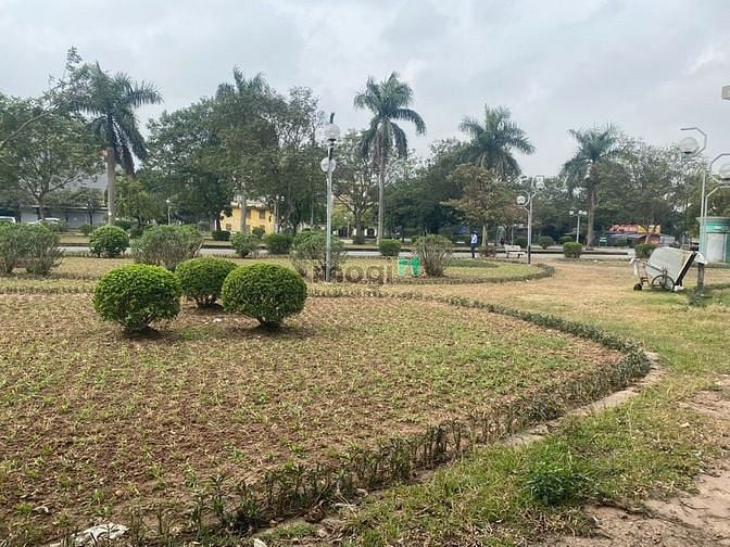 Hình ảnh Bán 100m căn góc đất đấu giá Tầm Dâu, Việt Hưng, view vườn