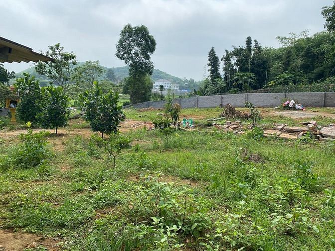 Hình ảnh Chính chủ cần bán lô đất thổ cư sổ đỏ 1233m2 tại Thạch Thất, Hà Nội