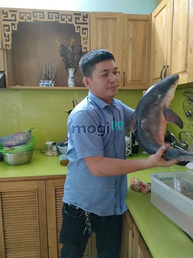 Hình ảnh Bán gấp đất phường Phú Tân TP thủ dầu một Bình Dương