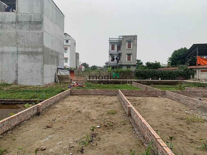 Hình ảnh Bán đất đấu giá Đình Tổ, Thuận Thành. giáp đường gom ven đê