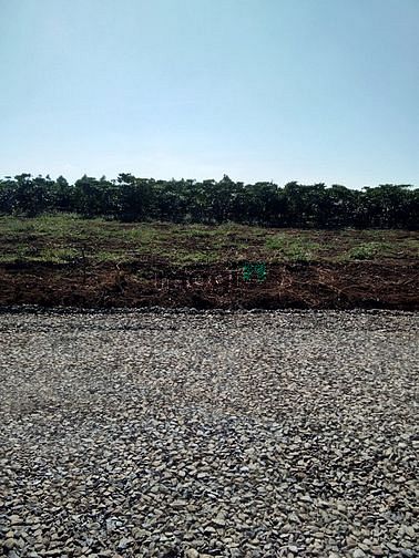 Hình ảnh Bán 175m2 đất thổ cư tại Bảo Lâm - Lâm ĐỒng