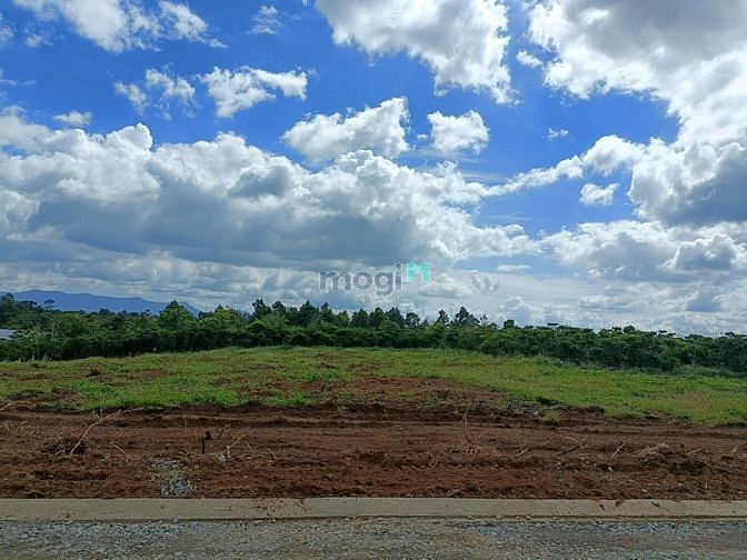 Hình ảnh Bán đất thổ cư 175m2 tại Tân Lạc Bảo Lâm