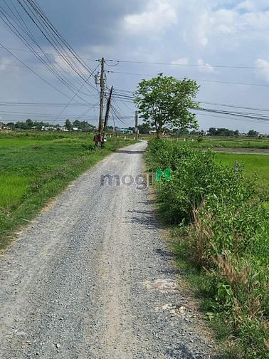 Hình ảnh Đất Thổ Cư siêu rẻ 1000m2, SHR