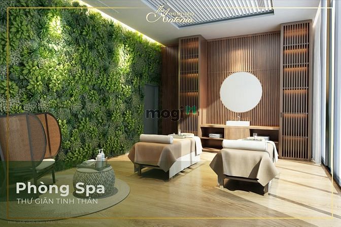 Hình ảnh Giỏ căn 2-3PN đẹp nhất dự án The Antonia, LS 0%, ô đậu xe địnhdanh