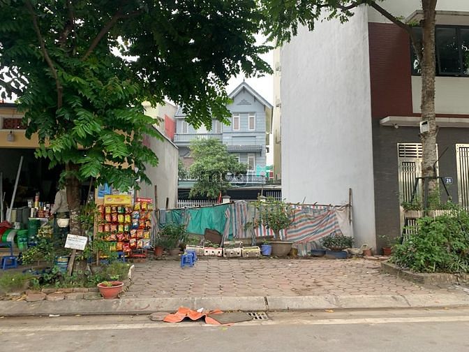 Hình ảnh Bán lô góc 99,5 đất đấu giá Tầm Dâu, vỉa hè rộng, view vườn hoa