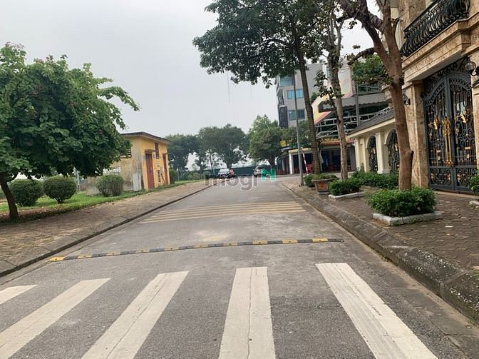 Hình ảnh Bán lô góc 99,5 đất đấu giá Tầm Dâu, vỉa hè rộng, view vườn hoa