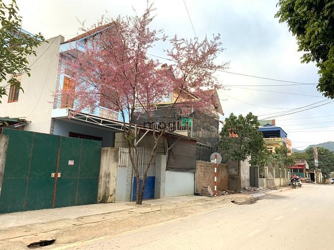 Hình ảnh Đất Trang MB66.COM Chính Thức - MB 66 Uy Tín, kinh doanh, QL43, Mộc Châu, 730m2, MT21m.