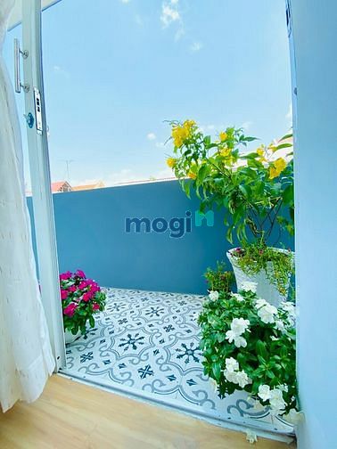 Hình ảnh Cho thuê Trang Chủ MB66.COM / Đăng Ký Tặng 66K 1 phòng ngủ chung cư mini, Nguyễn Cửu Vân, Bình Thạnh