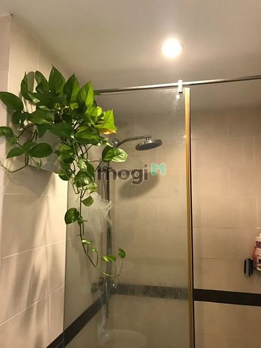 Hình ảnh Cho thuê Trang Chủ MB66.COM / Đăng Ký Tặng 66K cao cấp ngay Cô Giang , Quận 1 sịn sò
