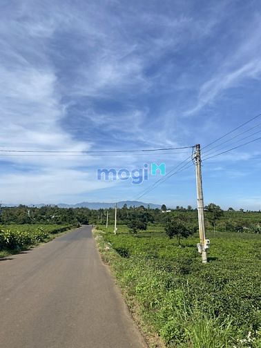 Hình ảnh Đất Bảo Lâm - Lâm Đồng có thổ cư , view đẹp thoáng mát