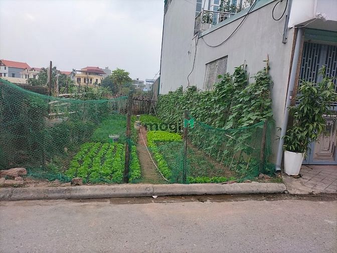 Hình ảnh Bán lô đất tại ngõ 52 Giang Biên, Giang Biên, Long Biên