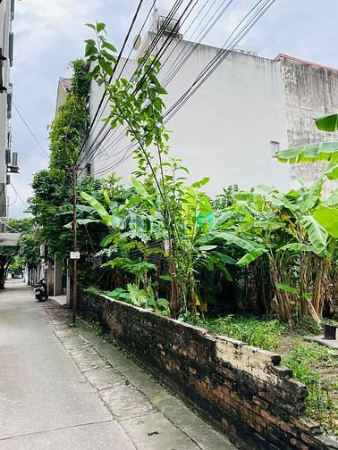 Hình ảnh Đất phân lô, cách đại sứ quán Hàn30m,ô tô, Xuân Đỉnh,Bắc Từ Liêm86m2.