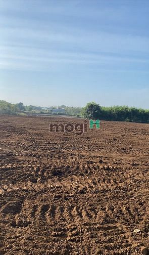 Hình ảnh Đất ấp 6 thông ấp 4 xuân tây cách nhựa 600m