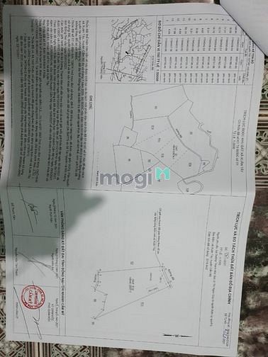 Hình ảnh Đất ấp 6 thông ấp 4 xuân tây cách nhựa 600m