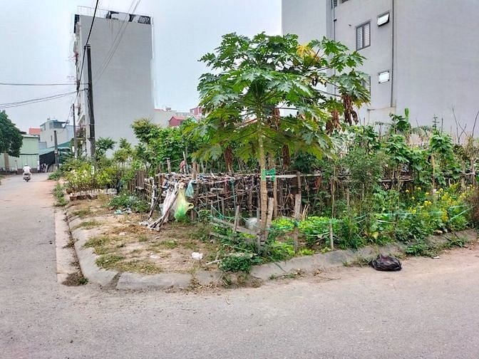 Hình ảnh Cần bán lô góc đất đầu giá Hoàng Long, Đặng Xá, Gia Lâm