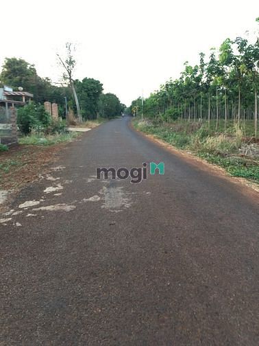 Hình ảnh Bán đất mặt tiền đường nhựa Phước An Hớn Quản Bình Phước