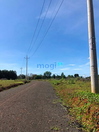 Hình ảnh Cần bán miếng đất 1123m2 đất becamex giá 385 triệu