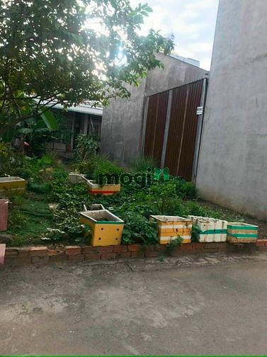 Hình ảnh Đất DT: 4x13,5=54m2 Đường 102, Lã Xuân Oai, phường Tăng Nhơn Phú A. Q9