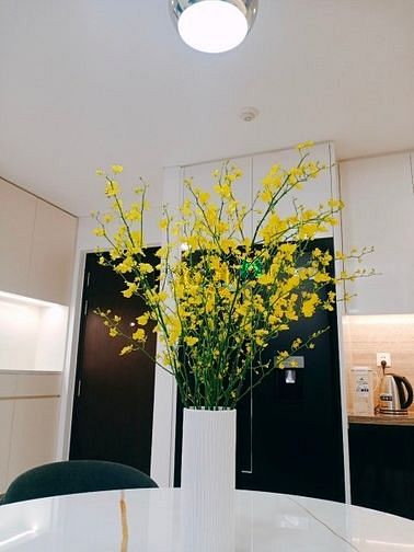 Hình ảnh Mb6623 nạp rút nhanh chóng cao cấp Empire City cho thuê. Đầy đủ nội thất