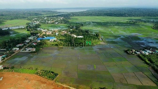 Hình ảnh Bán Dự Án Đất Nèn EaKnuce, cạnh quần thể saanGolf 191ha,Km19