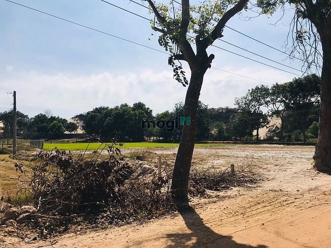 Hình ảnh Đất biển siêu đẹp. 2 MT có Tân Thắng giá 4 tỷ 9