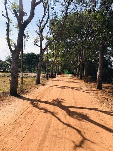 Hình ảnh Đất biển siêu đẹp. 2 MT có Tân Thắng giá 4 tỷ 9
