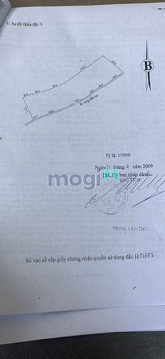 Hình ảnh Đất 2 mẫu 2 Tân Thắng giá 2 tỷ 5 mẫu. Bình Thuận