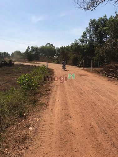 Hình ảnh Đất MT đường số 7 AnTon. Tân Thắng giá 4 tỷ 2.