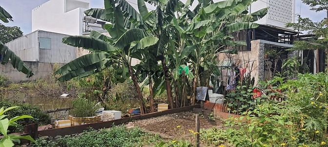 Hình ảnh Bán gấp đất Tân Thới Hiệp, Quận 12, 87m2 giá chỉ 4 tỷ 5