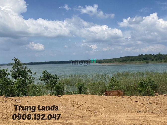 Hình ảnh Bán 2000 m2 đất xã Bình Ba,view hồ Đá Đen Châu Đức,BRVT giá 4 tỷ.