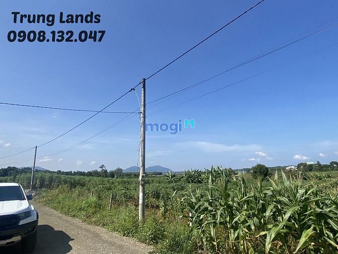 Hình ảnh Bán 2000 m2 đất xã Bình Ba,view hồ Đá Đen Châu Đức,BRVT giá 4 tỷ.