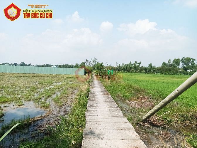 Hình ảnh Bán đất vườn xã phước thạnh - 617m2 - 10x63 - củ chi