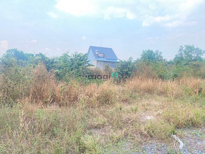 Hình ảnh Đất sổ riêng gần chợ Cây Sung Trảng Dài Biên Hoà