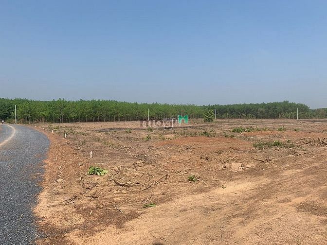 Hình ảnh Đất Tân Lợi 1000m2 giá chỉ 300 triệu sổ sẵn gần kcn
