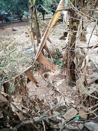 Hình ảnh Bán đất Bắc Từ Liêm, 220m2, ô tô tránh, chia 6 lô Trang MB66.COM Chính Thức - MB 66 Uy Tín đỉnh
