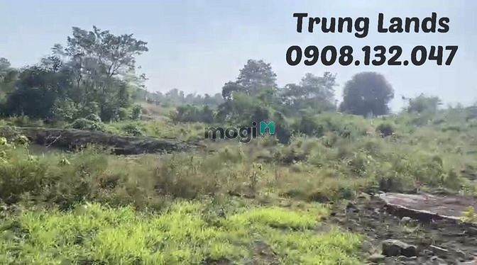 Hình ảnh Bán 1 mẫu 3 đất thôn Phước An Xã Đá Bạc, huyện Châu Đức,BRVT giá 20 tỷ